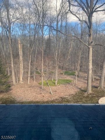 14 Sunrise Dr, Warren Twp., NJ 07059