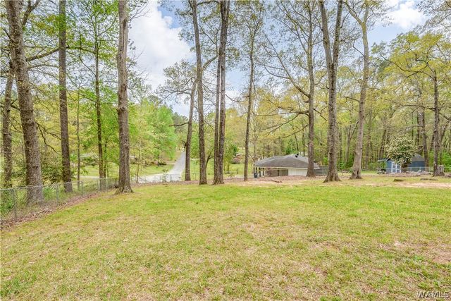 509 Monterey, Northport, AL 35473