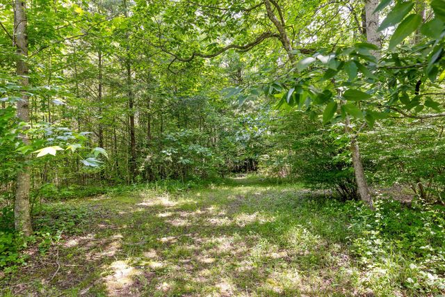 4272 Peppers Lane, Signal Mountain, TN 37377