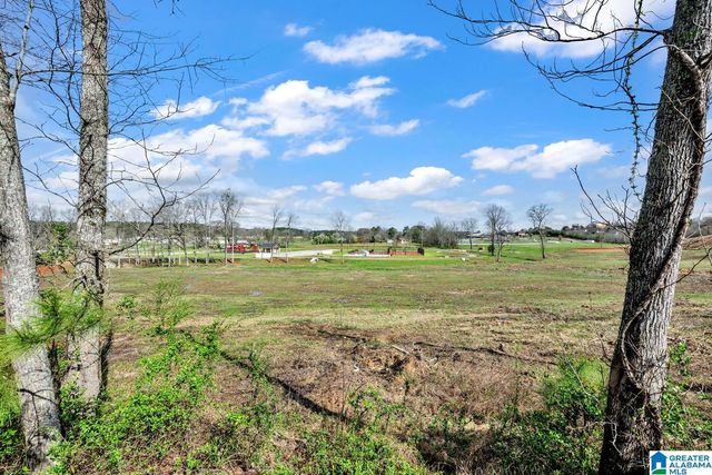 235 WHITE OAK LOOP, Cullman, AL 35057