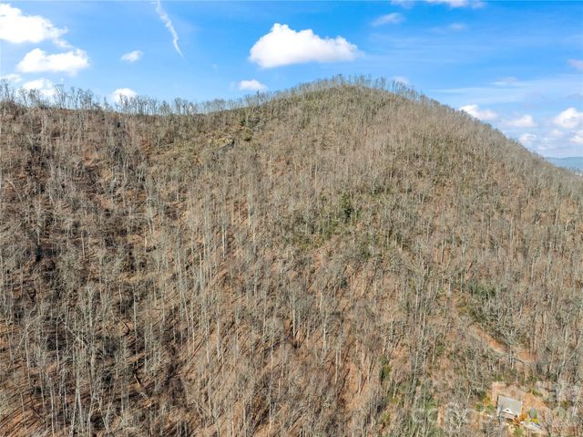 31 Reillys Bluff Road 2, Barnardsville, NC 28709
