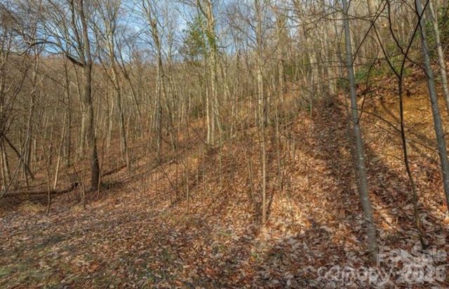 31 Reillys Bluff Road 2, Barnardsville, NC 28709