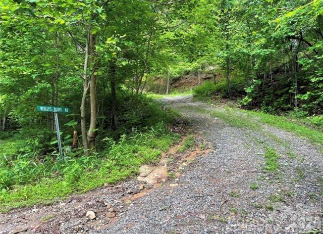 31 Reillys Bluff Road 2, Barnardsville, NC 28709