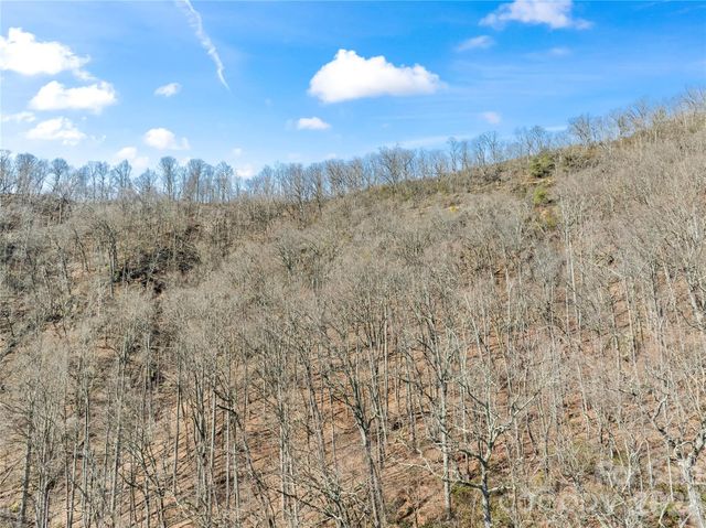 31 Reillys Bluff Road 2, Barnardsville, NC 28709