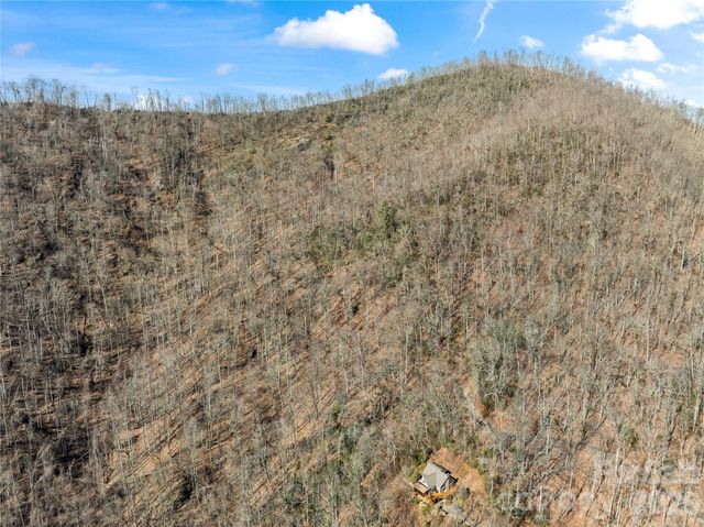 31 Reillys Bluff Road 2, Barnardsville, NC 28709