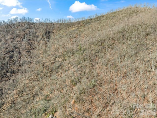 31 Reillys Bluff Road 2, Barnardsville, NC 28709