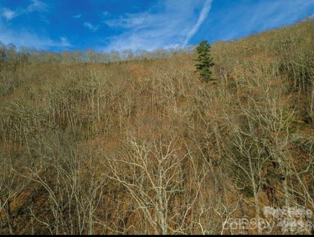 31 Reillys Bluff Road 2, Barnardsville, NC 28709