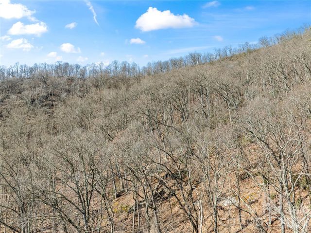 31 Reillys Bluff Road 2, Barnardsville, NC 28709