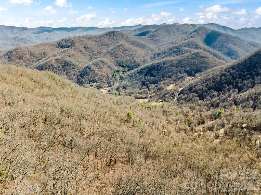 31 Reillys Bluff Road 2, Barnardsville, NC 28709