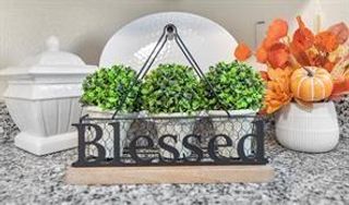 12603 Telge Road 29A, Cypress, TX 77429