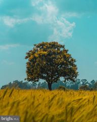 21228 BLACK ROCK RD, Hagerstown, MD 21740