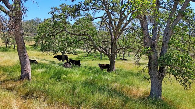 15250 Lanford Pacheco Rd, Valley Springs, CA 95252