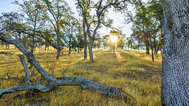 15250 Lanford Pacheco Rd, Valley Springs, CA 95252