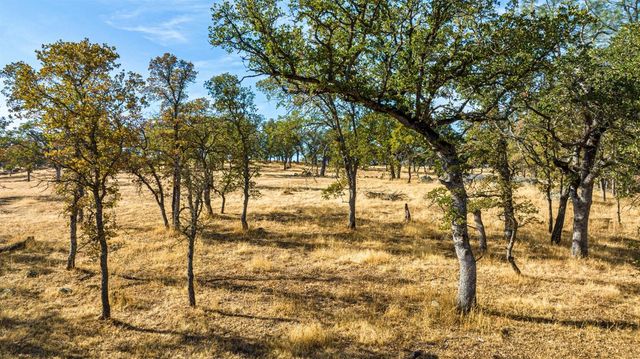 15250 Lanford Pacheco Rd, Valley Springs, CA 95252