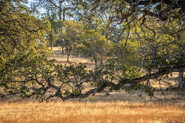 15250 Lanford Pacheco Rd, Valley Springs, CA 95252