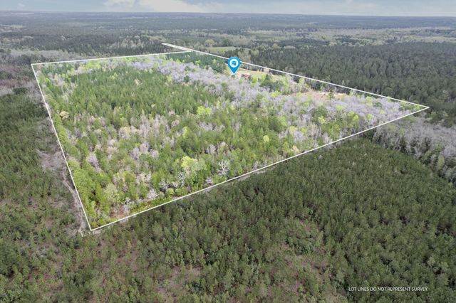 173 R Thompson Rd., Lumberton, MS 39455