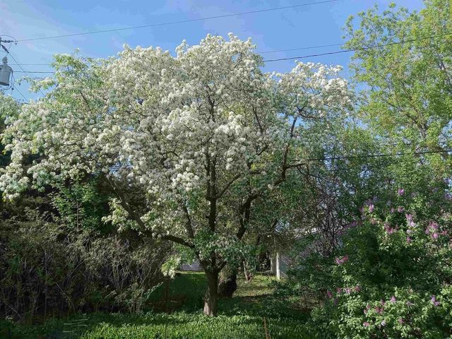 83 E 9TH STREET, Fond Du Lac, WI 54935