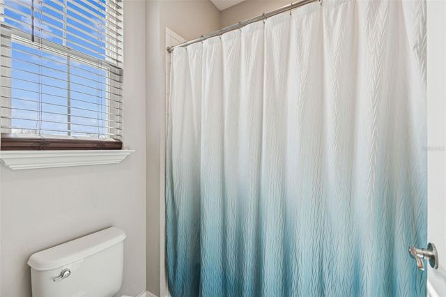 32350 FIREMOSS LANE, Wesley Chapel, FL 33543