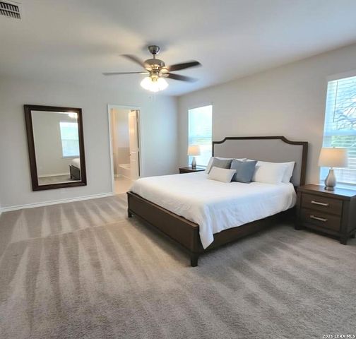 326 Cheeked Pintail, San Antonio, TX 78253