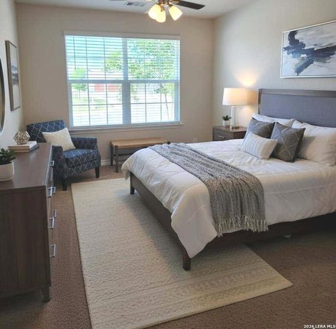 326 Cheeked Pintail, San Antonio, TX 78253