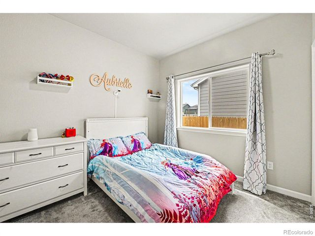 1470 S Hibiscus Drive, Milliken, CO 80543
