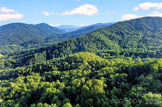 1506 Mckenzie Way S, Old Fort, NC 28762