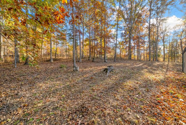 561 Eagle Shore Dr, Dover, TN 37058