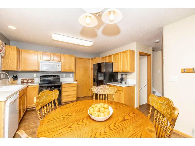 1110 Alpine Ct, Windsor, CO 80550
