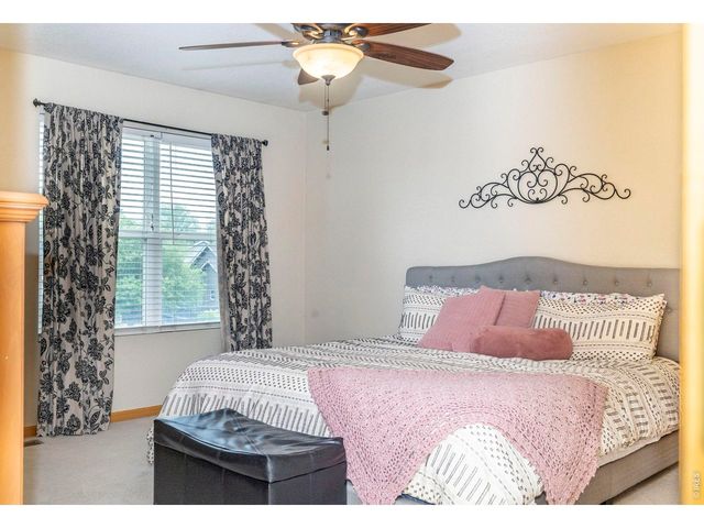 1110 Alpine Ct, Windsor, CO 80550