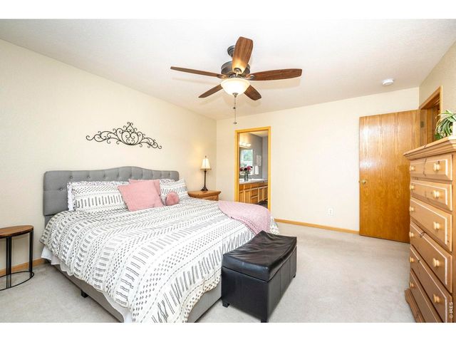1110 Alpine Ct, Windsor, CO 80550