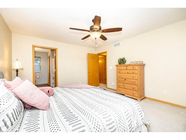 1110 Alpine Ct, Windsor, CO 80550