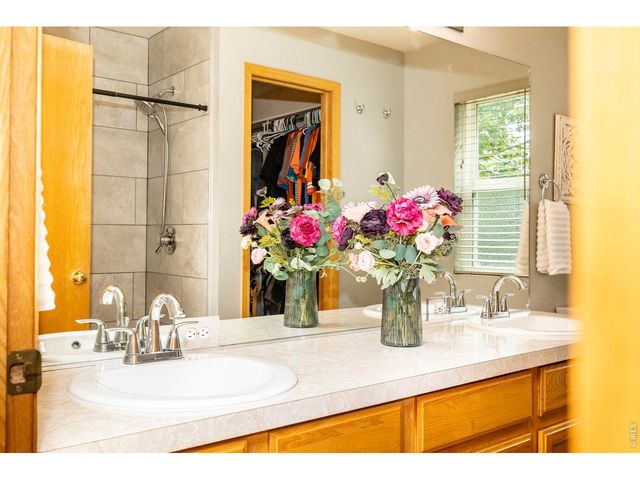 1110 Alpine Ct, Windsor, CO 80550