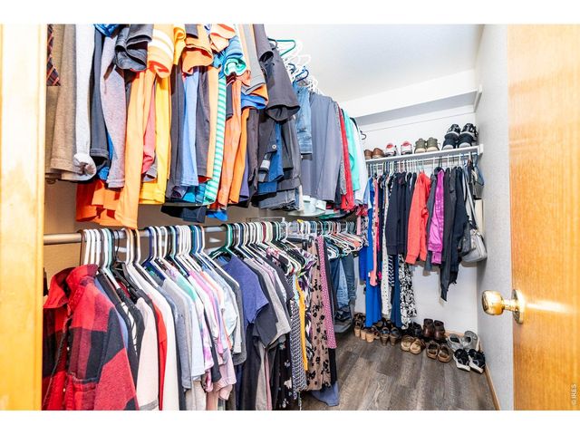 1110 Alpine Ct, Windsor, CO 80550
