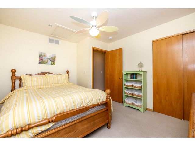 1110 Alpine Ct, Windsor, CO 80550