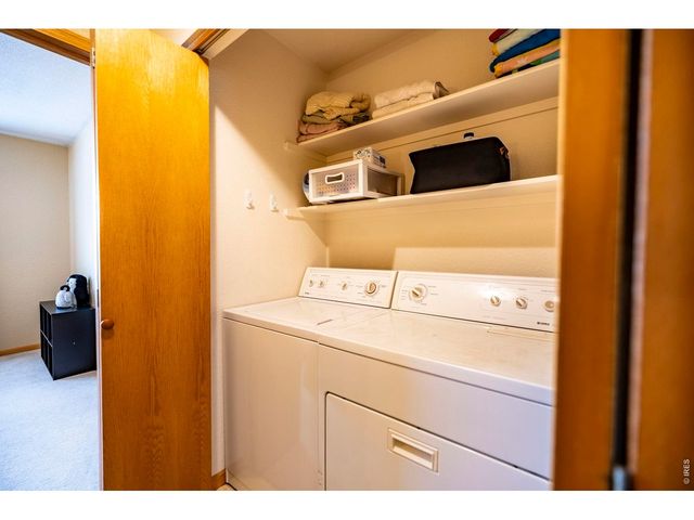 1110 Alpine Ct, Windsor, CO 80550