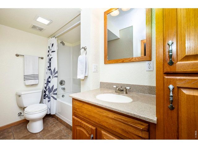 1110 Alpine Ct, Windsor, CO 80550