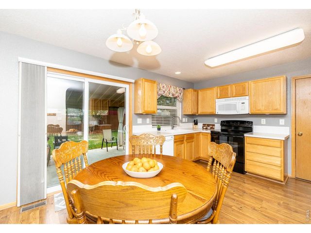 1110 Alpine Ct, Windsor, CO 80550