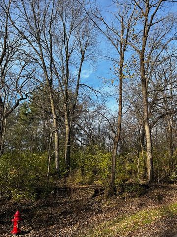 107 Maple Lane, Dixon, IL 61021