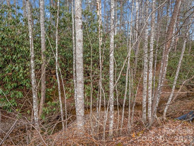 220 Jonathan Creek Drive, Etowah, NC 28729