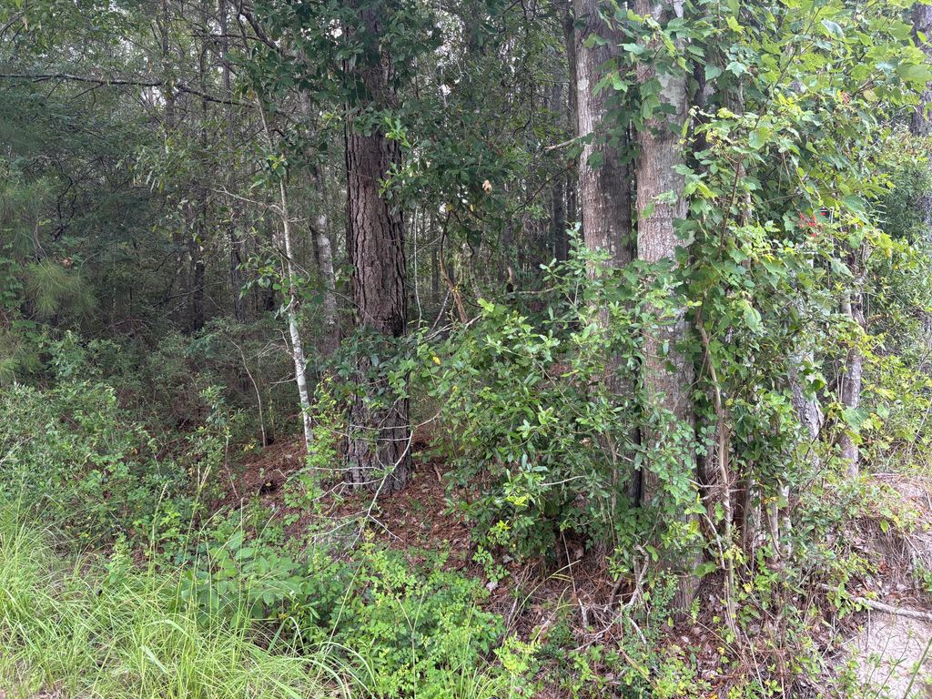 0 Walker Road, Ridgeville, SC 29472