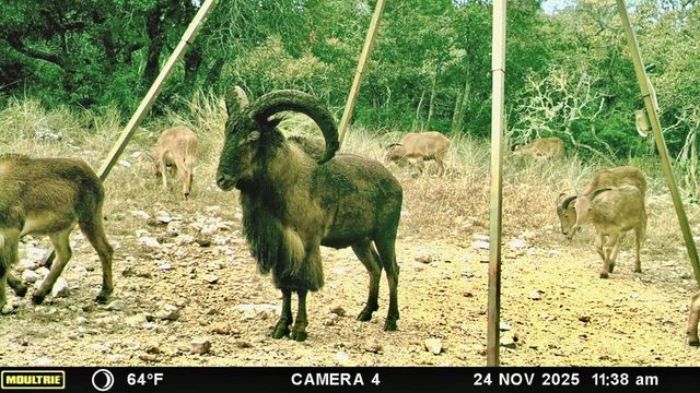 475 River Bend Rd, Hunt, TX 78024