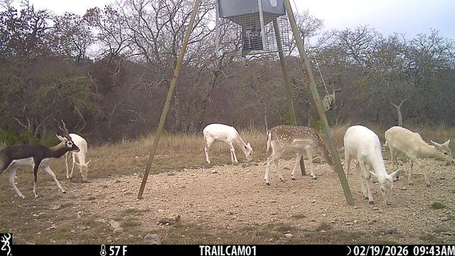 475 River Bend Rd, Hunt, TX 78024