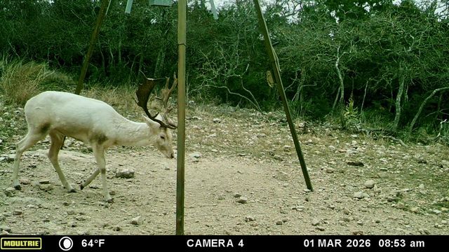 475 River Bend Rd, Hunt, TX 78024