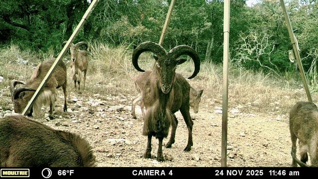 475 River Bend Rd, Hunt, TX 78024