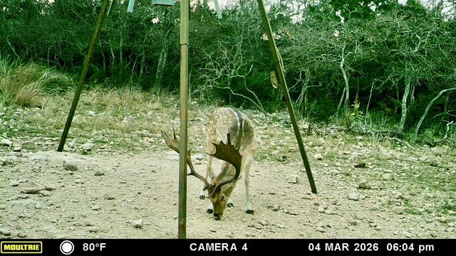 475 River Bend Rd, Hunt, TX 78024