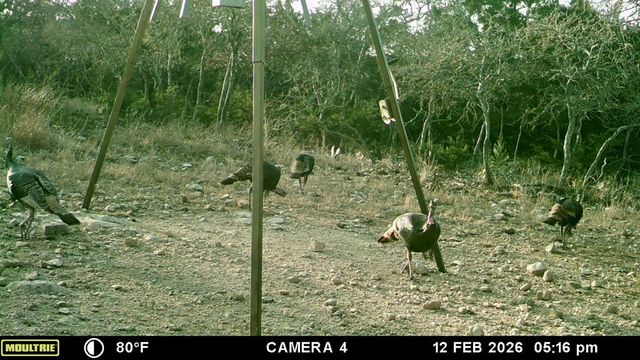 475 River Bend Rd, Hunt, TX 78024