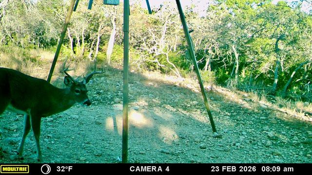 475 River Bend Rd, Hunt, TX 78024