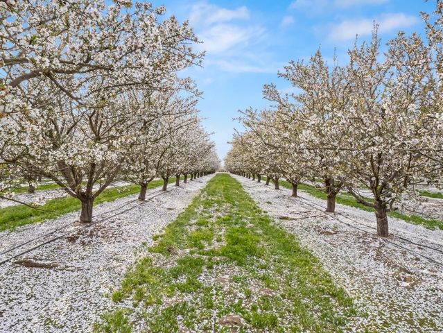 4847 S Greenwood Avenue, Del Rey, CA 93616