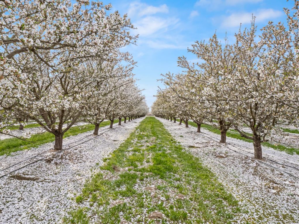 Image 40 of property listing at 4847 S Greenwood Avenue, Del Rey, CA 93616