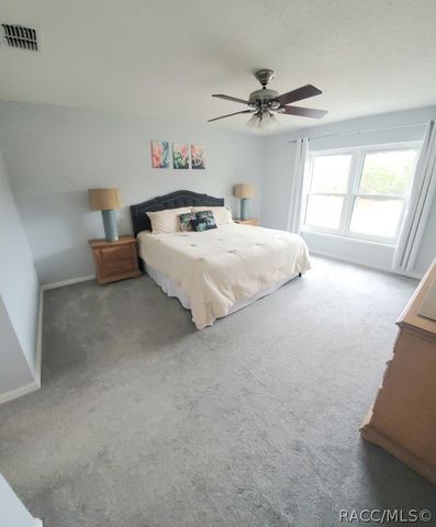 8960 N Athens Drive, Citrus Springs, FL 34433